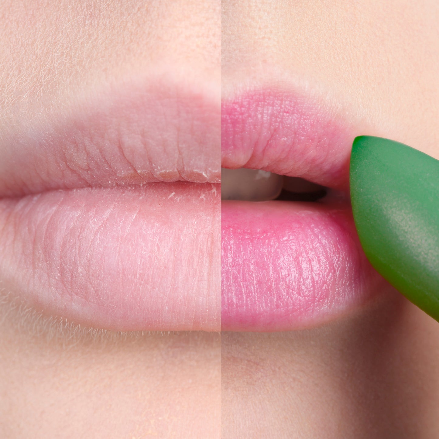 BAUME LÈVRES REVITALISANT Phytostérols Kaméléon vert