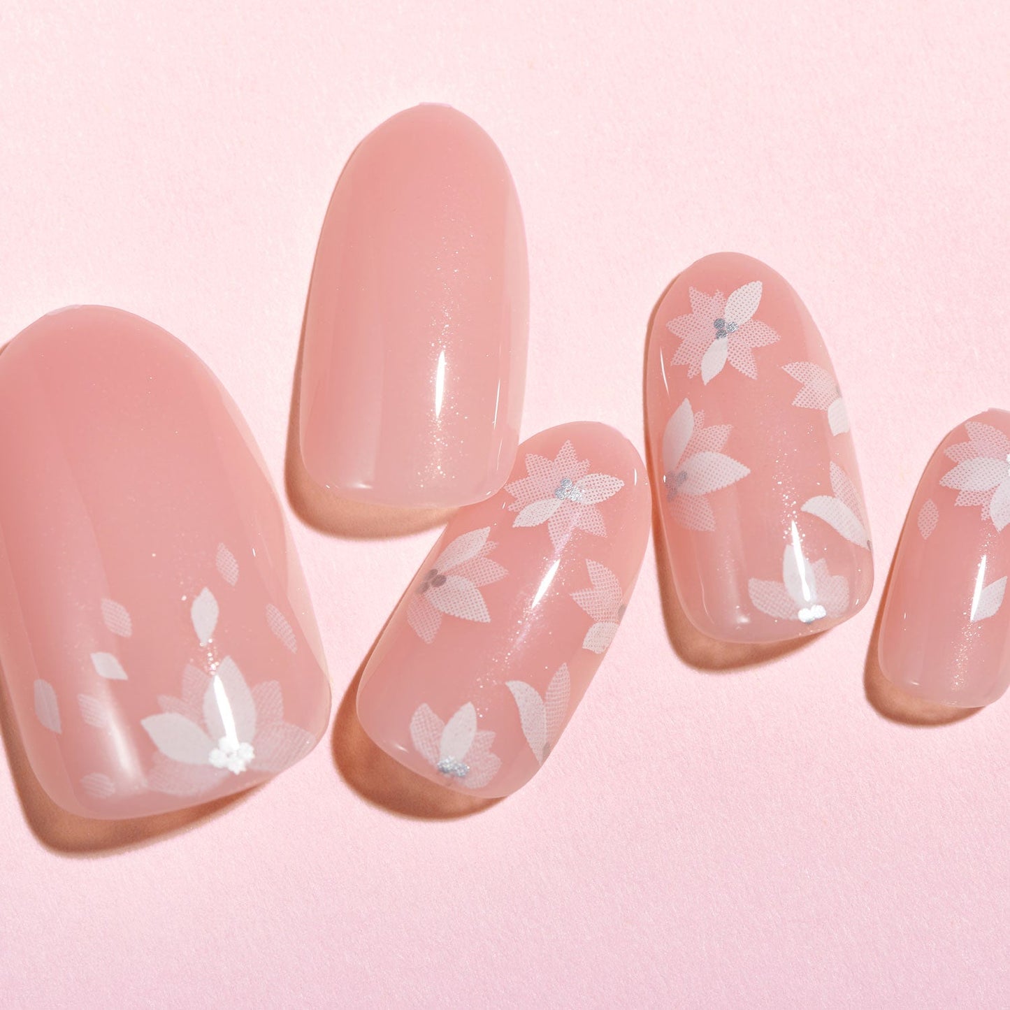 Lottie x KimKim stay press'd- glazed and unfazed
